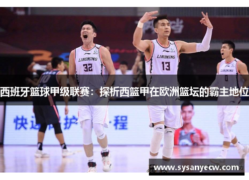 西班牙篮球甲级联赛：探析西篮甲在欧洲篮坛的霸主地位