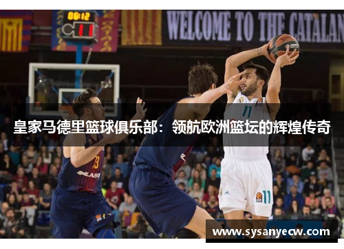 皇家马德里篮球俱乐部：领航欧洲篮坛的辉煌传奇