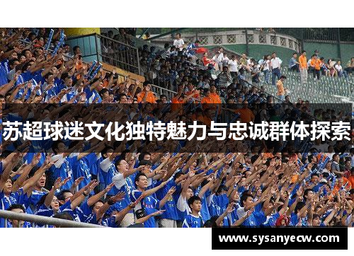 苏超球迷文化独特魅力与忠诚群体探索